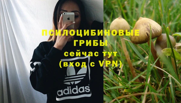 ешки Нея
