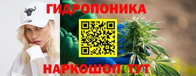 метадон Гай