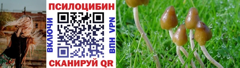 цены   mega ONION  Псилоцибиновые грибы MAGIC MUSHROOMS  Ялуторовск 